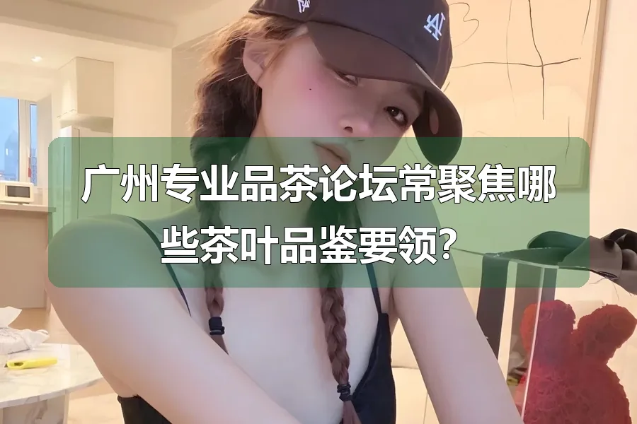广州专业品茶论坛常聚焦哪些茶叶品鉴要领?